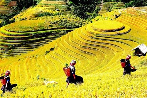 Sapa 2 Tage Trekking mit 1 Nacht Gastfamilie