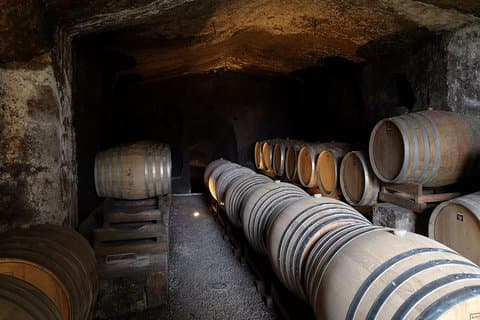 Expérience EnoBike unique avec dégustation dans 2 excellents vignobles