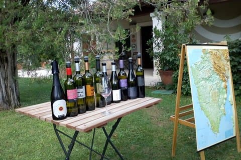 Un échantillon de vin, un échantillon d'Istrie - Un programme court mais complet