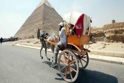 Giza Pyramids,The Egyptian Museum Cairo,Citadel , El Khan Bazaar