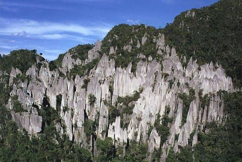 4 Days 3 Nights Mulu 4 Showcaves with Pinnacles