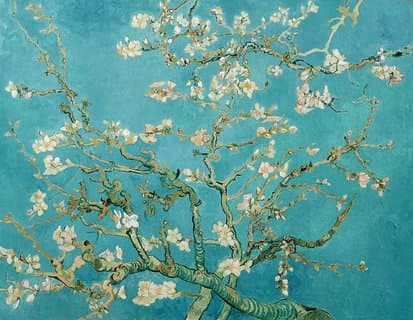 Biglietto combinato: biglietto per il Museo Van Gogh e 1 crociera sul canale di 1 ora