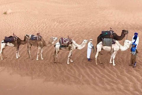 Visite privée du désert de Fès à Fès de 2 jours