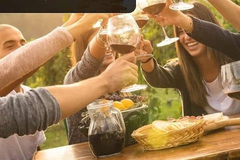 Tour du vin de Franschoek