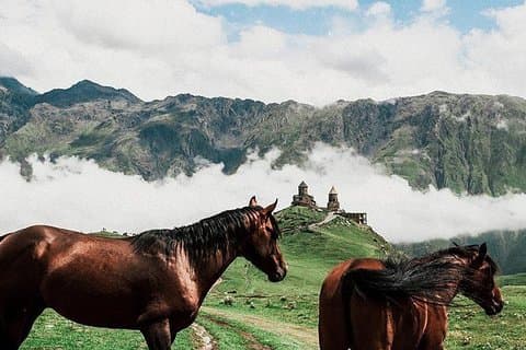 ganztägig Kazbegi-Gudauri-jvari -von Tbilisi