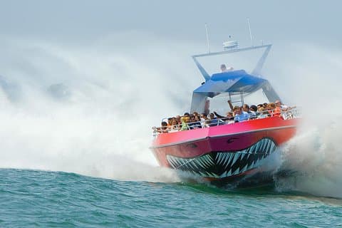City Cruises Boston Codzilla High-Speed Thrill Boat Ride