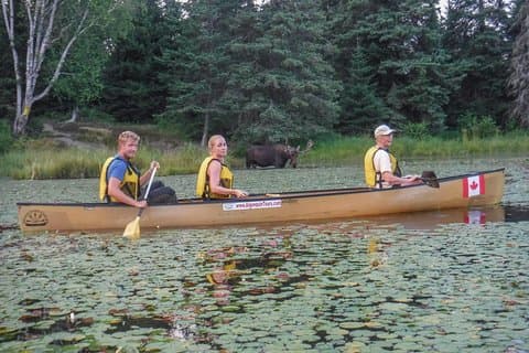3 dias Algonquin Park viagem de canoa - Moose & Beaver Safari