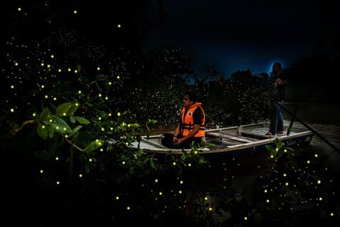 La visite 'Kelip Kelip' des lucioles et des grottes de Batu comprend un dîner de fruits de mer et une promenade en bateau