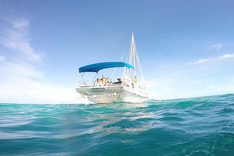 Sailing Adventure