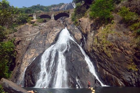 Waterfall & Plantation