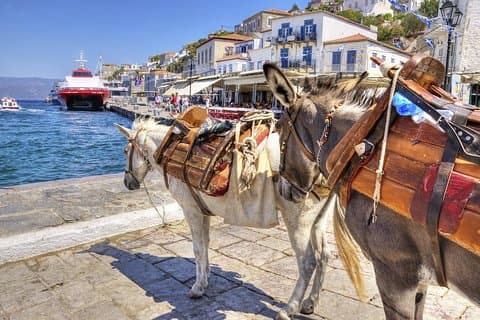 Excursion d'une journée à l’île d'Hydra au départ d'Athènes