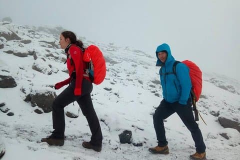 6 dias Lemosho rota escalada Kilimanjaro