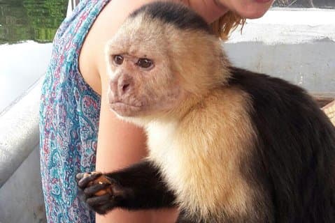 Ganztägige Gatun Lake und Indian Village Tour ab Panama City
