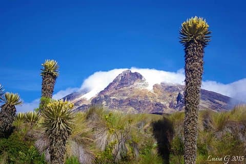 Trekking no Parque Natural Nacional Los Nevados