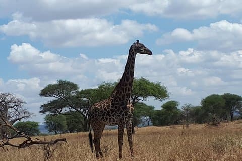 Tagestour zum Arusha-Nationalpark