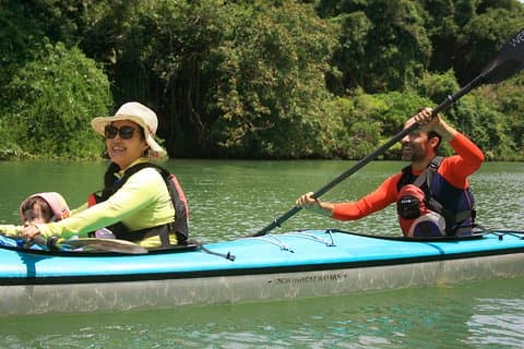 Okinawa: Kayak Mangroves & Ocean Native-English Private Tour