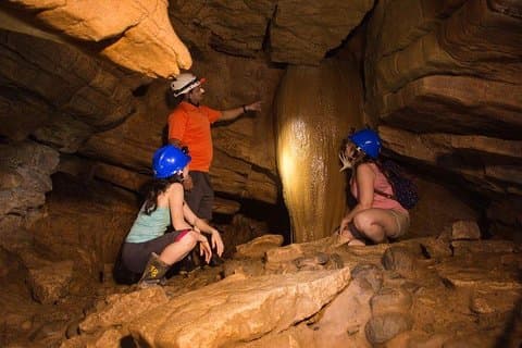 Venado Caves De Arenal