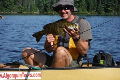 3 Horas Algonquin Park Bass & Truut Fishing (privado- preço é para 1 ou 2 pessoas)