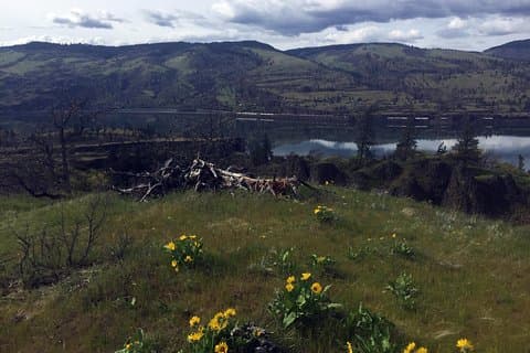 Full-day Columbia Gorge Hiking