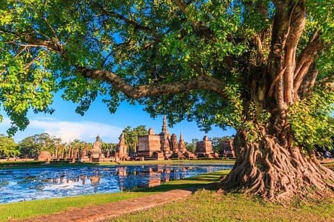 5 Days Trails and Gems of Siam from Bangkok, Small Group