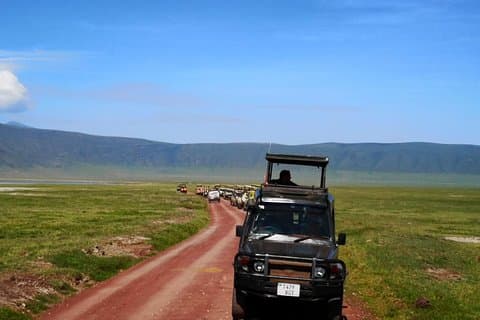 2 dage Safari til Lake Manyara og Ngorongoro krater