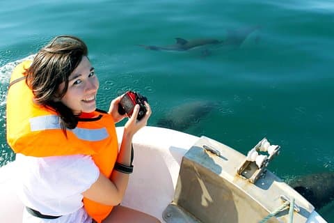 Avistamiento de delfines desde Fuzeta