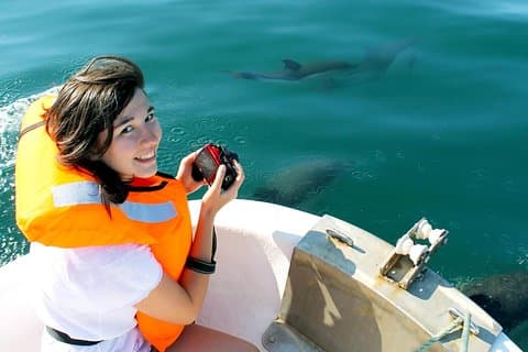 Avistamiento de delfines desde Olhão