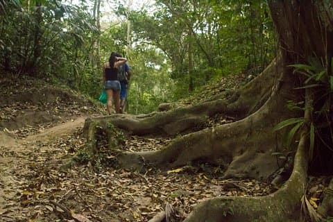 Tayrona National Park - Trek to Cabo San Juan