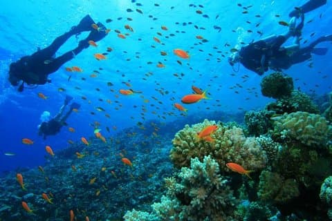 地上輸送を含む島の西側からの1タンクの楽しみの潜水