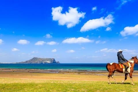 Festival des fleurs de canola de Jeju - excursion à cheval dans un village folklorique