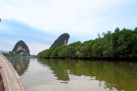 Tour in barca delle mangrovie a Krabi