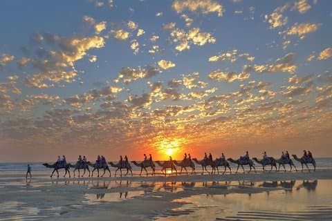 1 times Broome Sunset Camel Tour