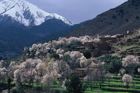 Atlasgebergte en Berberdorpen Dagtochten Excursies vanuit Marrakech