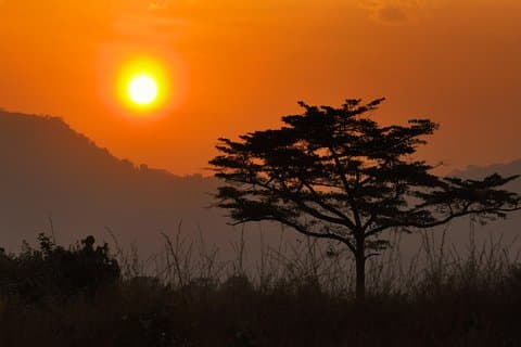 1-Day Adventure Tour of Kpalime and Climb Mt Agou from Lome City