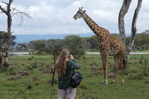 3 dager Nairobi nasjonalpark, Lake Naivasha og Lake Nakuru nasjonalpark