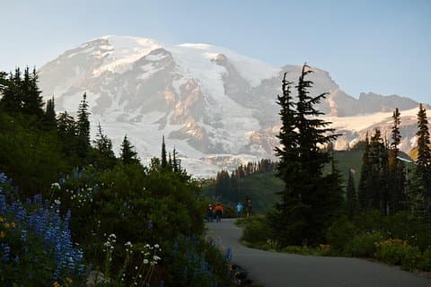 Best of Mount Rainier National Park from Seattle: All-Inclusive Small-Group Tour