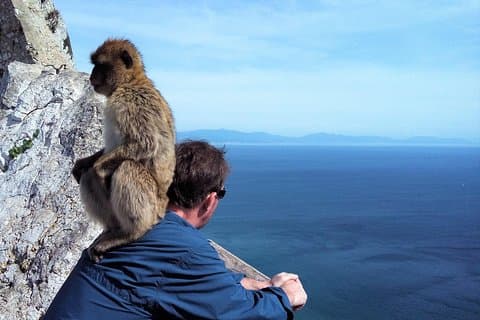 Gibraltar private tour from Marbella or Malaga