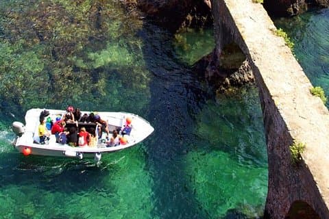 Excursion d'une journée en petit groupe à l'île Berlenga Grande au départ de Lisbonne