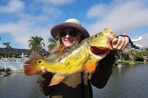 Peacock Bass Fishing Trips near Palm Beach Florida