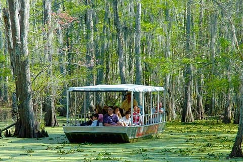 New Orleans Sumpf und Bayou Bootstour mit Transport
