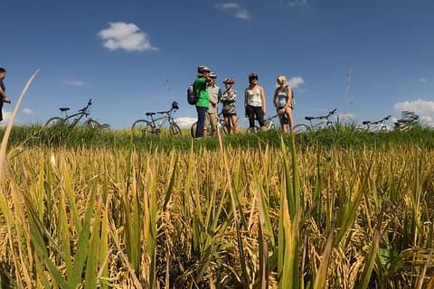 Explorar Ubud com bicicleta elétrica