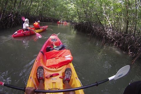 Experiência de caiaque nos manguezais de Langkawi com almoço