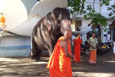 Galle Day Tour