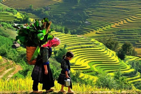 Hanoi til Sapa 2 dager 1 natt med buss