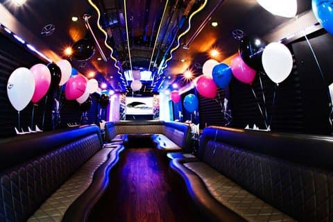 Private tour: Party Bus & Dancer for 3 hours in Vilnius