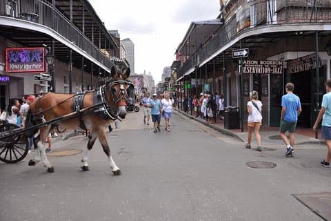 New Orleans French Quarter en meer koetsrit