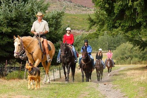 Halvdag Walter Peak Horse Trek och kryssning från Queenstown