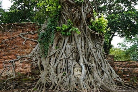 Ontdek UNESCO-werelderfgoed - Ayutthaya naar Khao Yai National Park