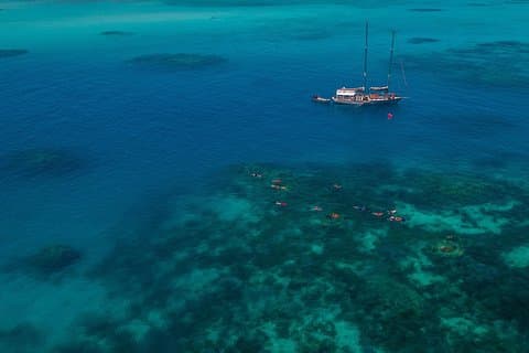 Ocean Free 25 hóspedes Great Barrier Reef e visitar Green Island Tour