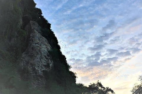 Battambang bat cave Sunset Private Tour